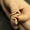 Emerald Fang Gold Çelik Yüzük