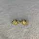 Altın Rengien Shell Earrings Altın Rengi Kararmaz Çelik Küpe